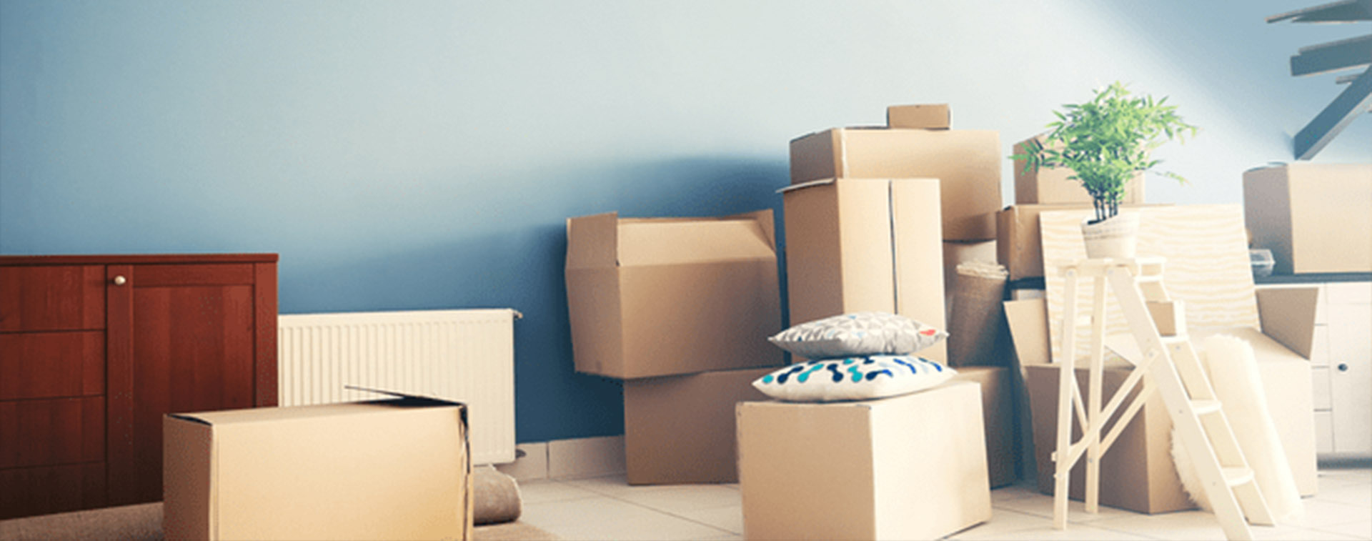 Professional Packers and Movers in Lucknow